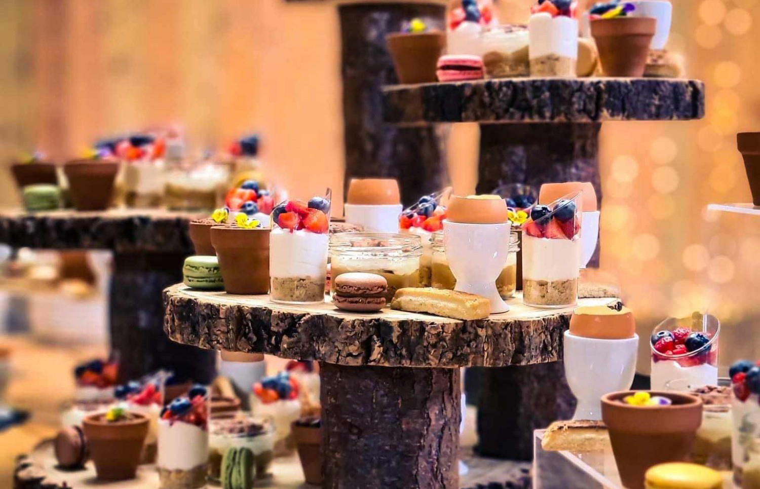 Desserts on log display